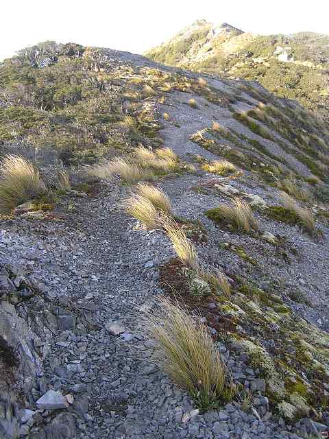 Ruahine - Sunrise Hut 045.jpg